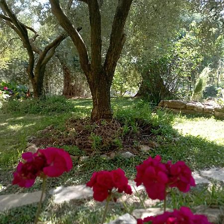 Villa Relax Skála Kallirákhis Kültér fotó
